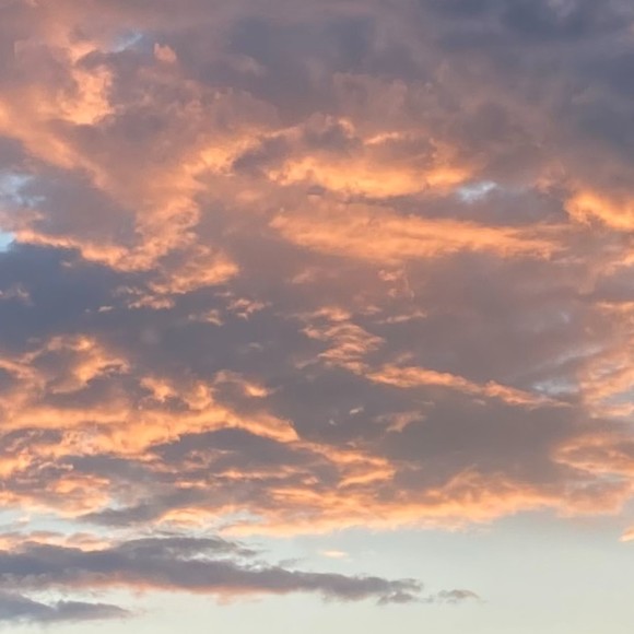 Meet your Posher,  Geli - Picture 1 of 1